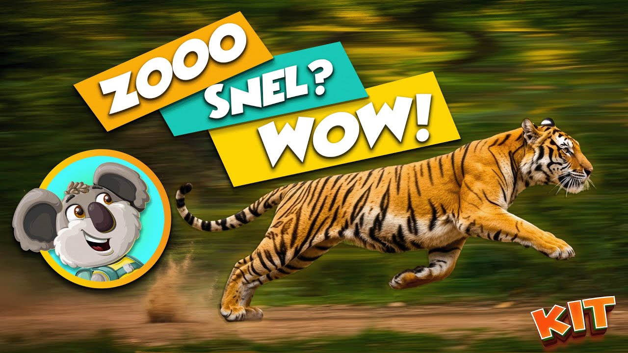 Hoe Hard Kan Een TIJGER Rennen? 🐅 Dieren Leren met Kit - YouTube