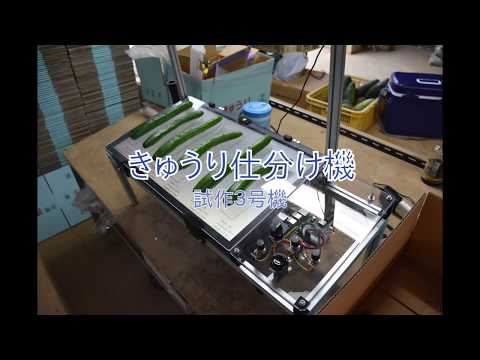 キュウリ仕分け機【試作３号機】