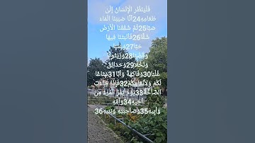 تلاوة خاشعة للشيخ احمد العجمي ماتيسر من سورة عبس