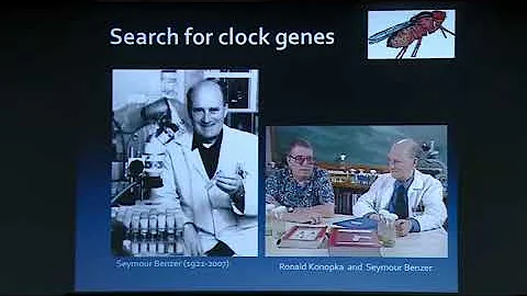 Prof. Sheeba Vasu @InSearch 2018 JNCASR