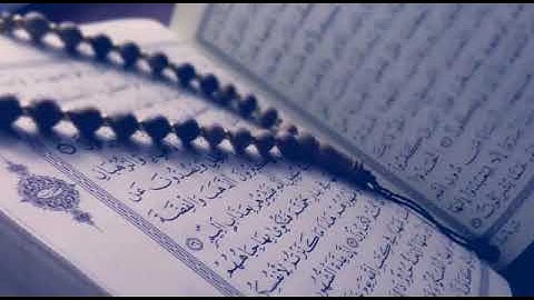 Surat Al Baqara  Abd Allah Saeid  l  تلاوة تنعش الروح لسورة البقرة  للقارئ عبد الله سعيد