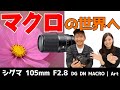 【マクロレンズ】シグマ105mm F2.8 DG DN MACRO | Artマクロ撮影で世界がドラマチックに撮れるかも？花・紅葉・料理・ポートレートにもおすすめの中望遠レンズ！【ジャパたけ・ひかり】