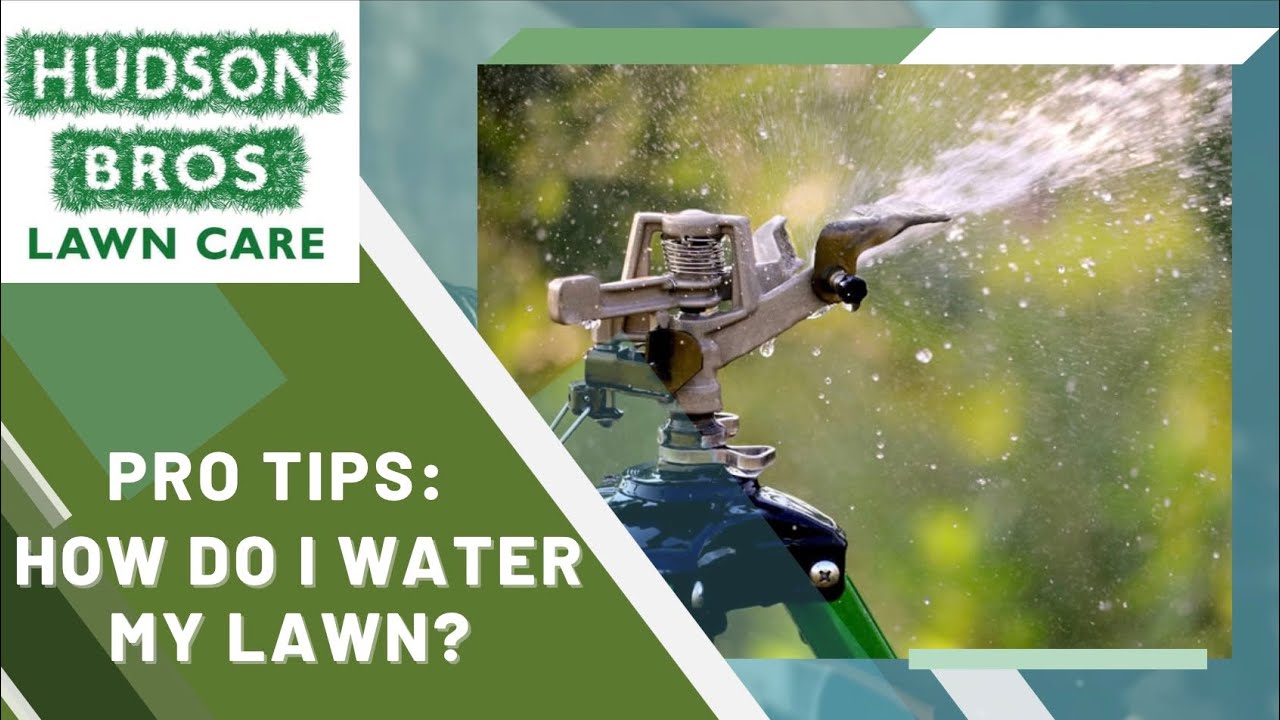 Pro Tips How Do I Water My Lawn? YouTube