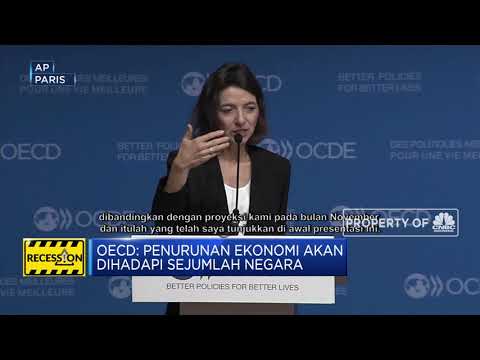 Video: Negara Pertubuhan Kerjasama dan Pembangunan Ekonomi. OECD dan aktivitinya