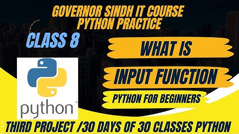 Python Class 8 what is in put function (Governor Sindh IT Course practice)