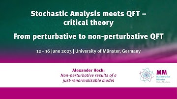 Alexander Hock: Non-perturbative results of a just-renormalisable model