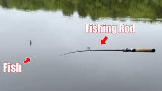 The MOST RIDICULOUS Fish Catch I'VE EVER SEEN!!!