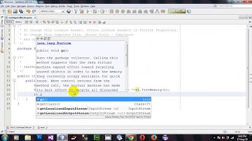 Show Perform Garbage Collector Java Netbeans