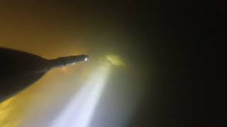 Подводная охота