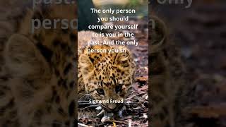 The only person you should compare yourself to is you in the past... Sigmund Freud