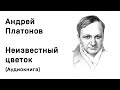 Андрей Платонов Неизвестный цветок Аудиокнига Слушать Онлайн