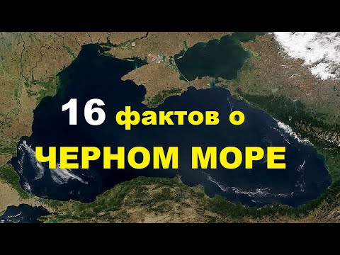 16 интересных фактов о Чёрном море | TimonFix