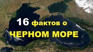 16 интересных фактов о Чёрном море | TimonFix