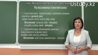 Подготовка к ЕНТ (Русский язык):  Род несклоняемых существительных