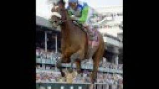 Barbaro The Life Of A Legend
