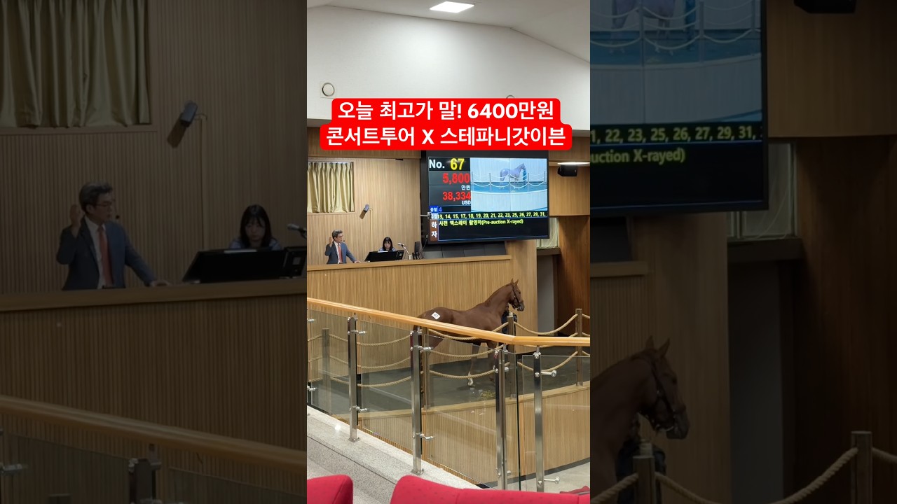아나픽 67번!! 6400만원 땅땅땅🔨🔨🔨