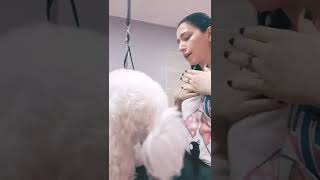 Işimizde Sevgi Olmazsa Olmaz