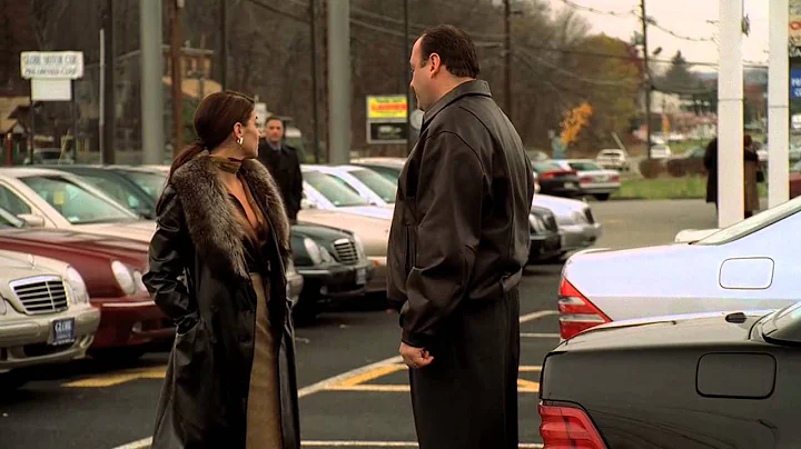 The Sopranos - Tony and Gloria hook up for the fir...
