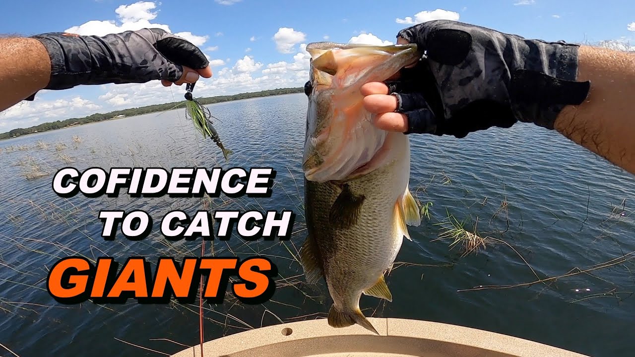 Using CONFIDENCE Baits as SEARCH Baits to Catch BIG BASS 
