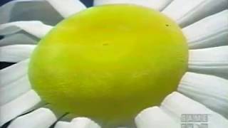 The Newlywed Game May 17, 1969 Consolation Prizes