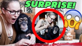 SURPRISING ANGADA WITH PUPPIES!