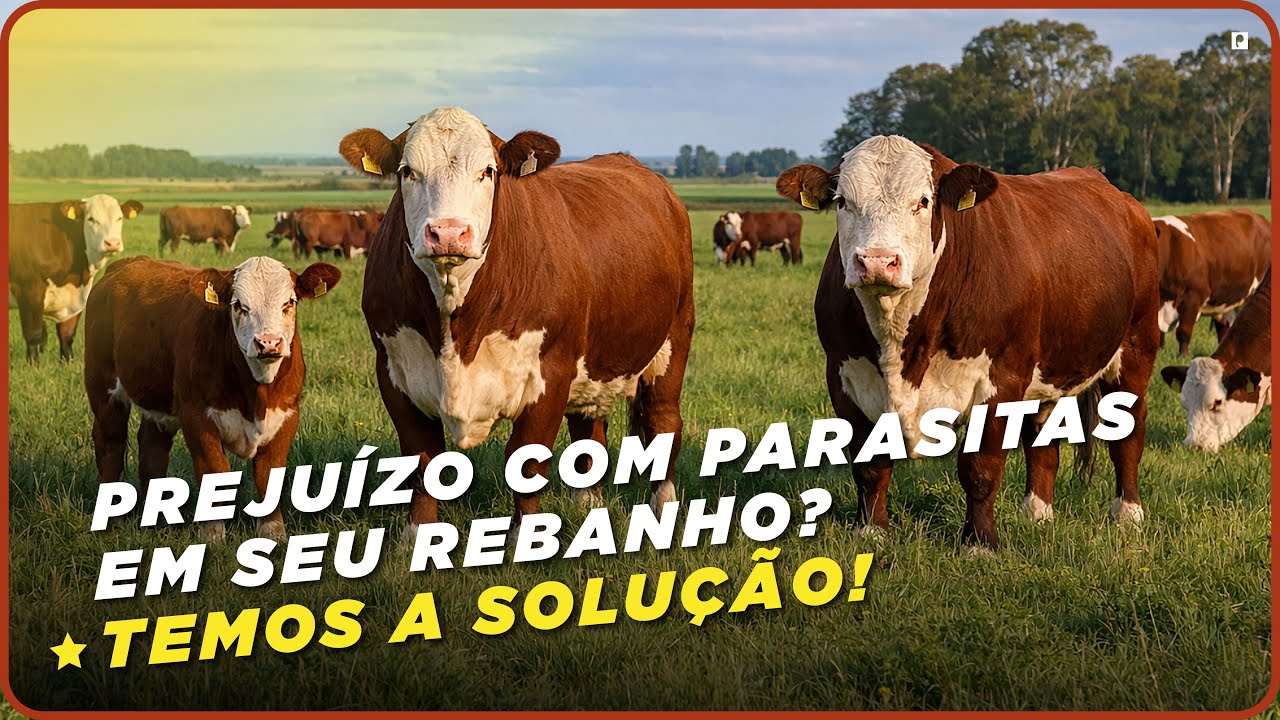 Ação rápida no controle de parasitas com Diprossal Kombaty!