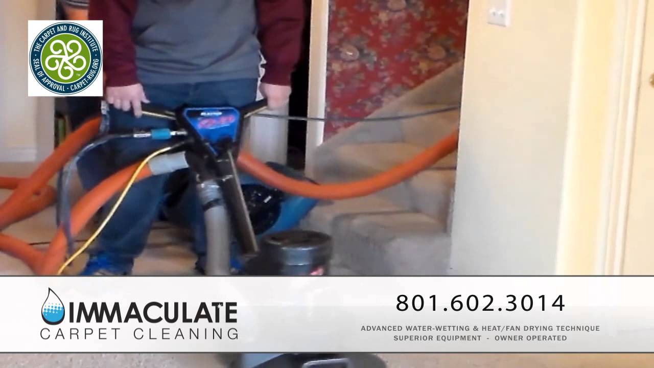 Immaculate Carpet Cleaning Alpine Utah YouTube