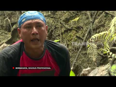 Sensasi Nikmat Kapurung Larva Lebah | JEJAK SI GUNDUL (06/10/26)