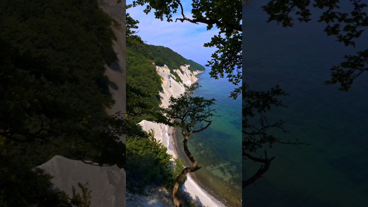 The Natural Splendor of Mons Klint, Denmark's Coastal Masterpiece 🌊🇩🇰 