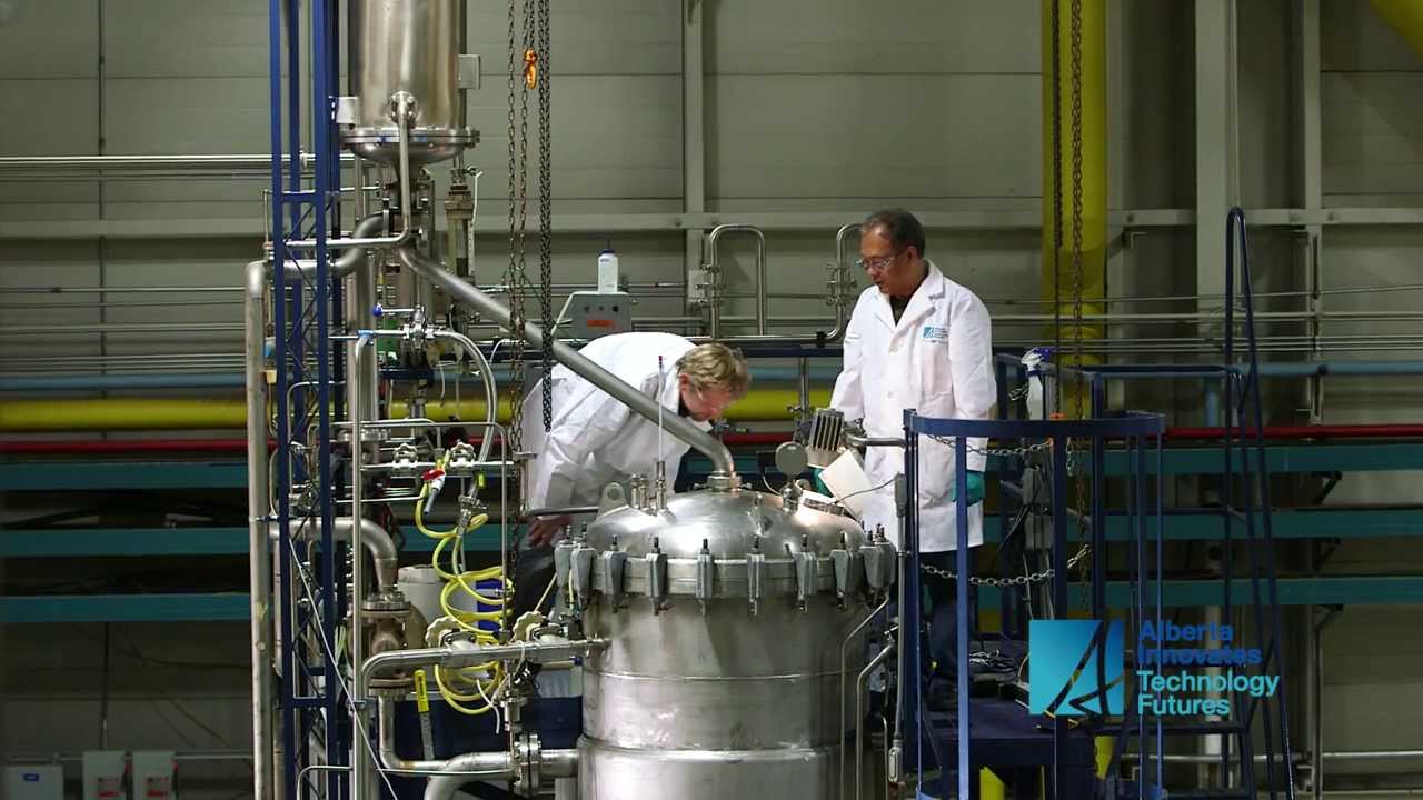 Microbial Fermentation YouTube