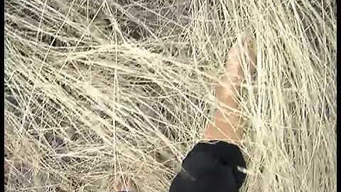 Artón/bokAcción_pés.mp4