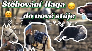 Vlog // Stěhování Haga do nové stáje