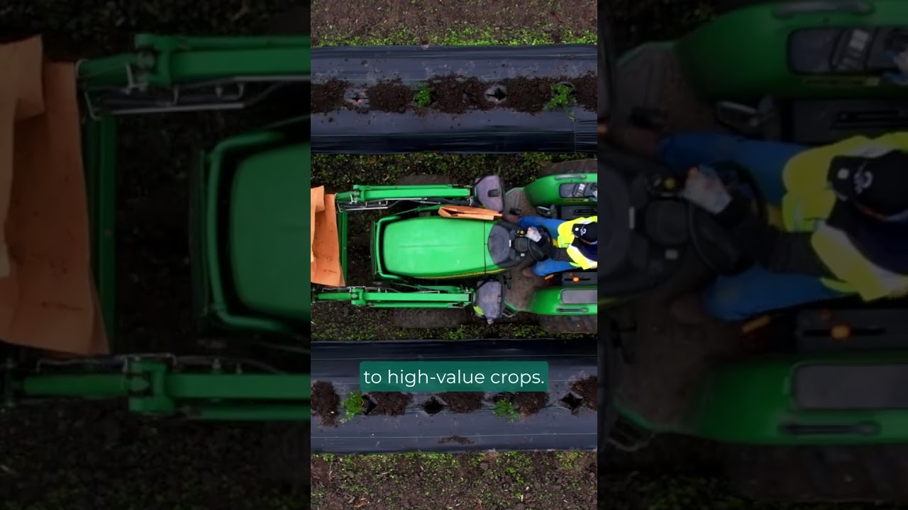 The Secret to Farmland Investment: Sunshine, Dirt, and Water  