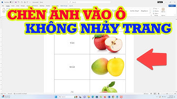 Cách Chèn Ảnh Vào Ô Trong Word Không Nhảy Trang