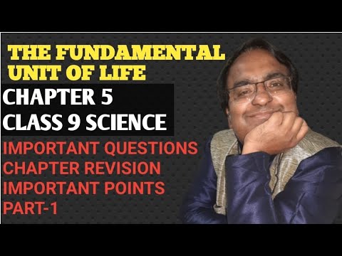 THE FUNDAMENTAL UNIT OF LIFE CHAPTER 5 CLASS 9 SCIENCE NCERT PART 1 ...
