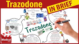 Trazodone ( Desyrel ): What is Trazodone Used For, Dosage, Side Effects & Precautions?