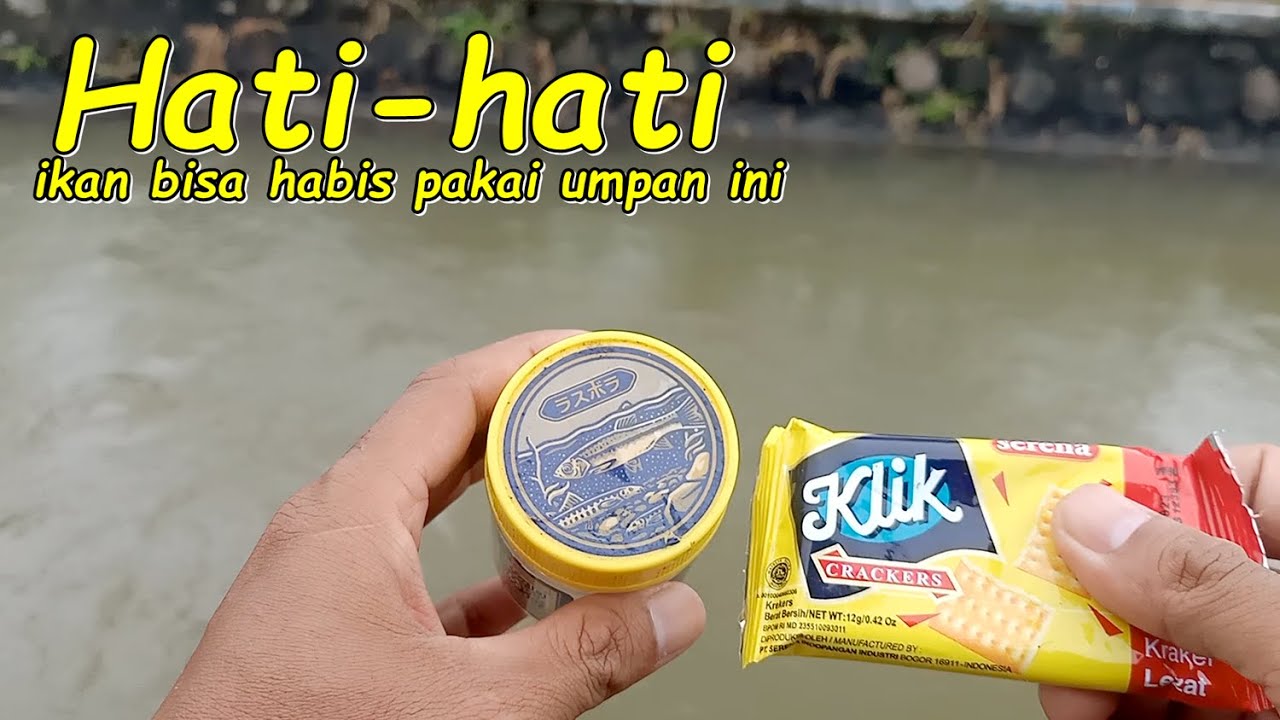 umpan mancing uceng wader, umpan ampuh jitu sederhana langsung dibuat dan tes di sungai