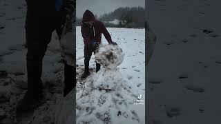 Little snow vlog! #shorts #snow #californiasnow