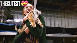 Fondle A Baby Tigerthecutest Compilations