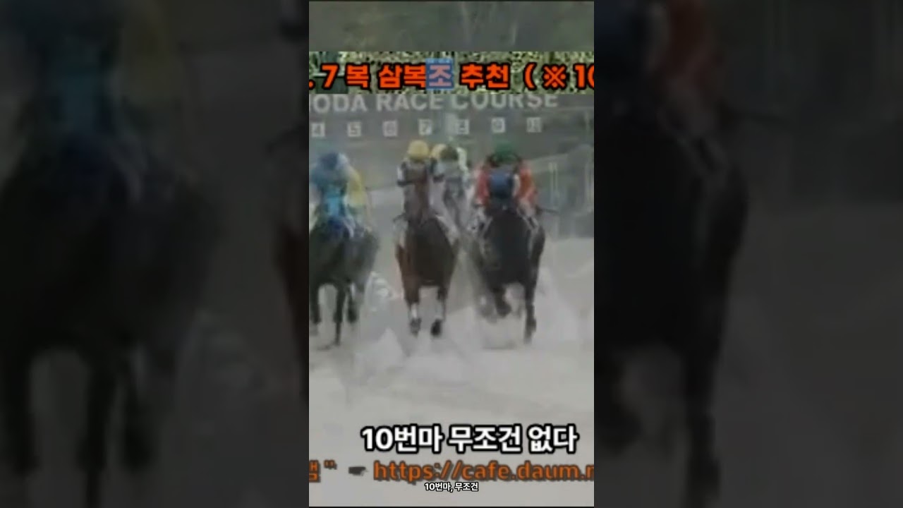 [일본경마] 승부마 적중! 이변을 포착한 고배당 분석 #Shorts