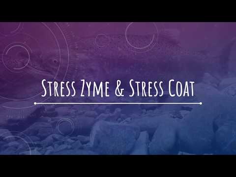 Stress Zyme & Stress Coat