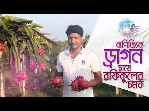 ভিডিও: ইসলামিক বাগান