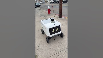 Food delivery #robots #usa #indianinusa #fooddelivery #why #funny #trending #foodinusa #jerseycity