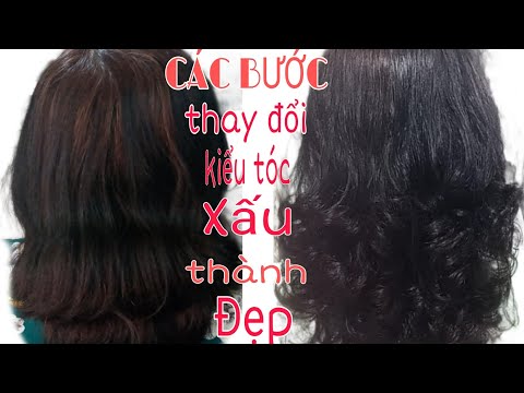 Hướng dẫn cắt uốn xoăn cho tuổi trung niên@Free Salon Education