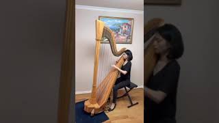 Mikhail Glinka’s Nocturne in Eb Major (1828) - Harp