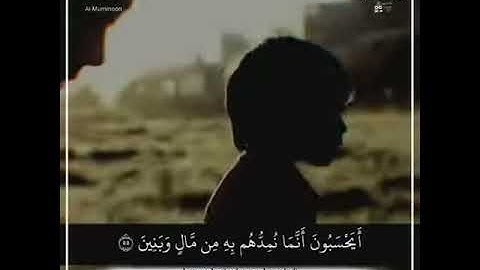 فذرهم في غمرتهم حتى حين .. سورة المؤمنون - حالات واتساب