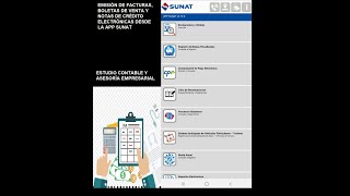 APP SUNAT Factura y Boleta Electrónica screenshot 1