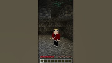 How To Place A Torch in Minecraft | #shorts