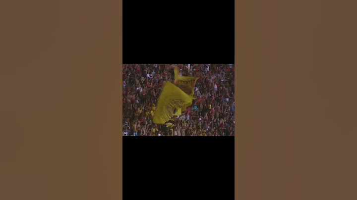 50.000 MIL TORCEDORES DO FLAMENGO, QUE SENA LINDA, VENDO O MENGÃO ATROPELA O BANGU #flamengo #mengão