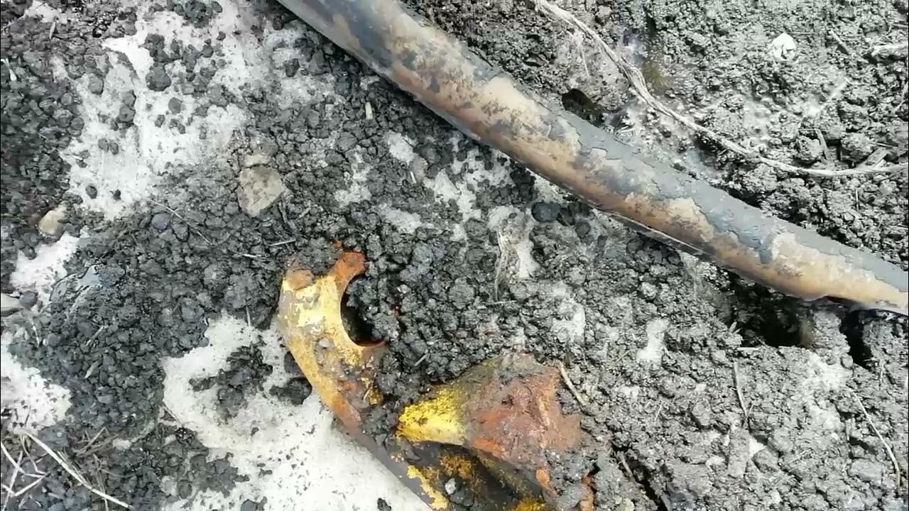 древние могилы древних людей раскопанные археологами. без находки. военные раскопки находки чёрные копатели. без находки. коп находки металлоискателем.